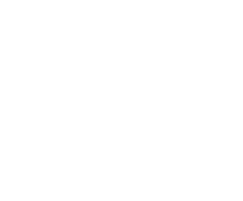 The image is completely blank with a white background and no visible objects or details.