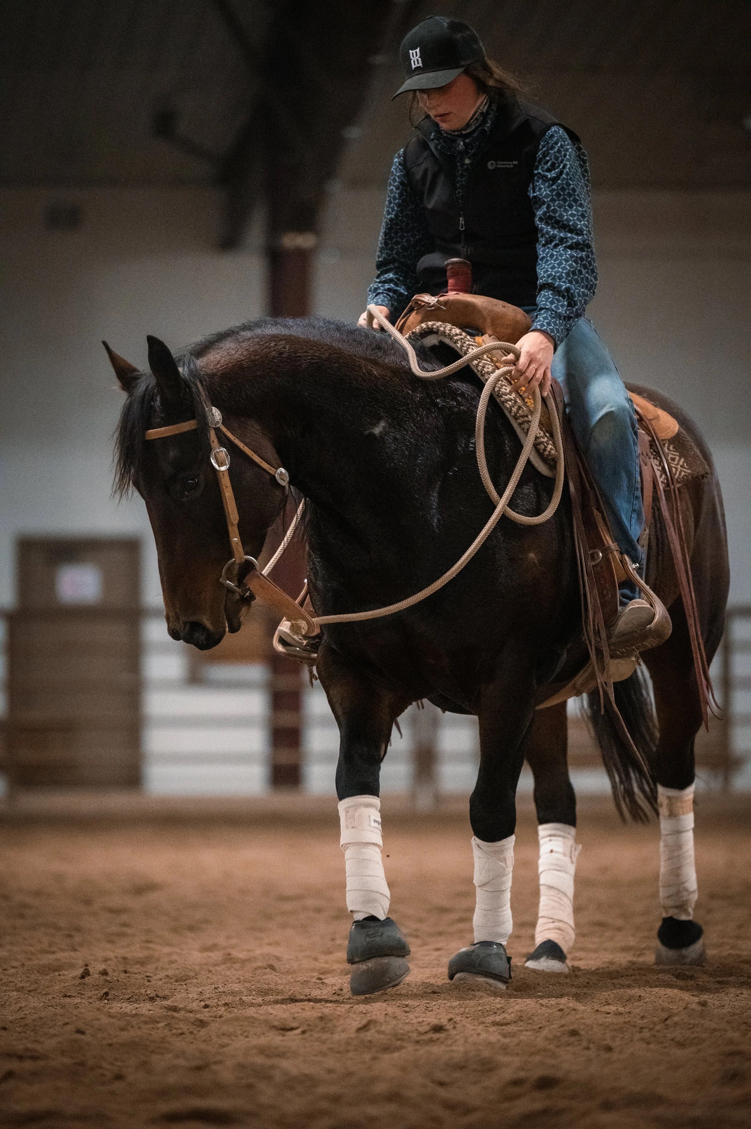 Training/Colt Starting