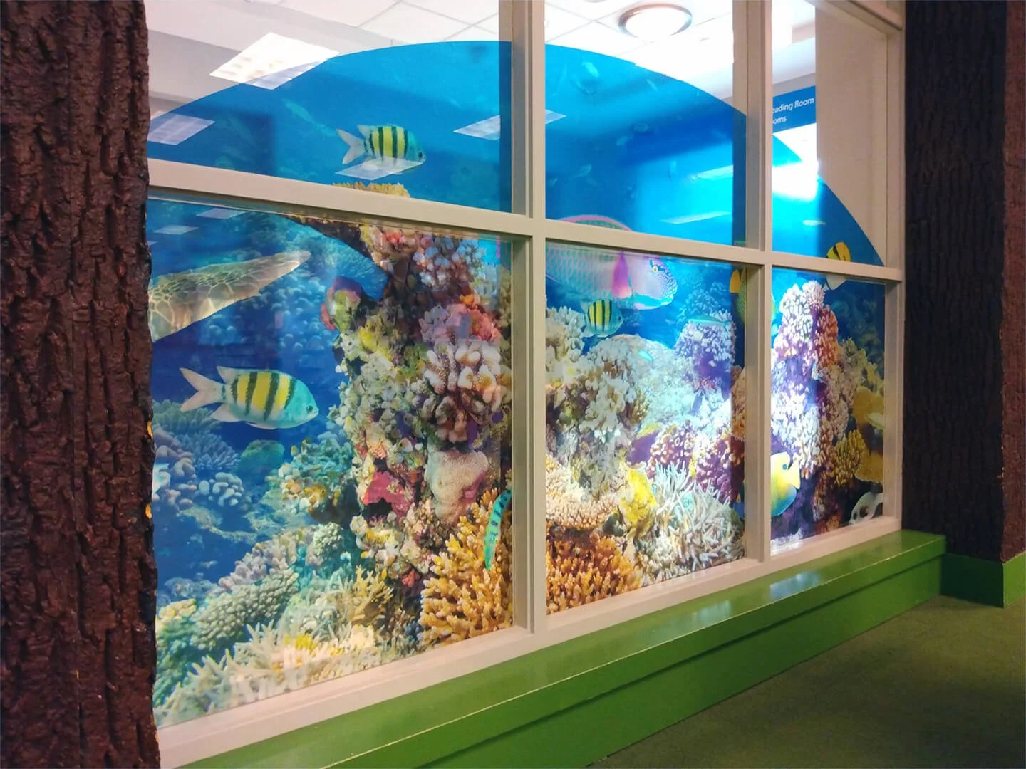 Aquarium-themed window mural with colorful coral reef and tropical fish illustration, framed by a white window frame and green base, located indoors.