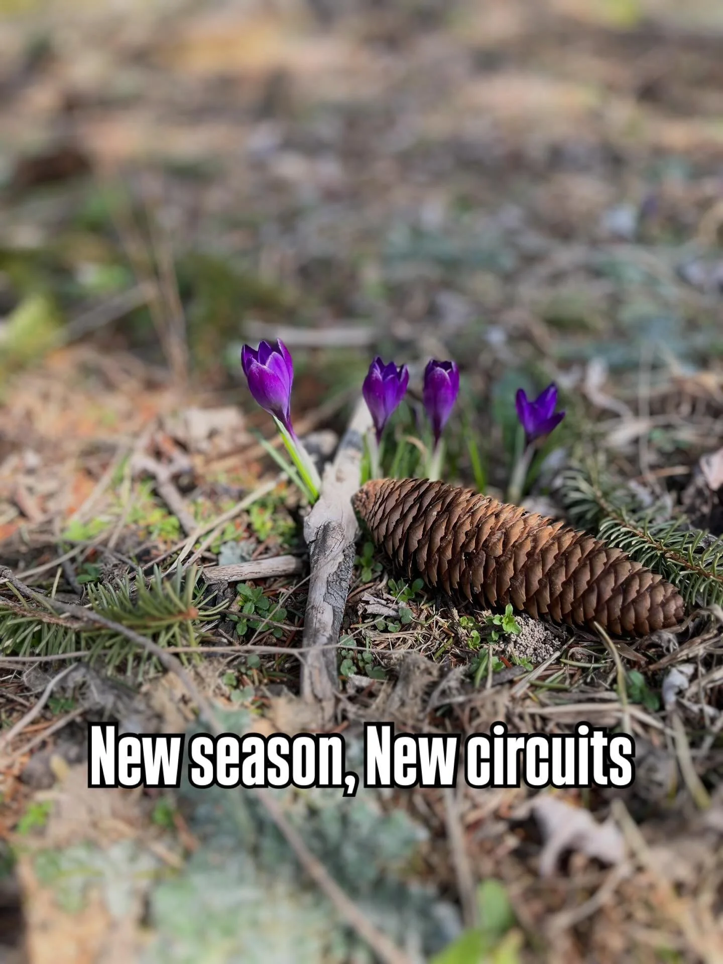 🌷Spring is the perfect time to &ldquo;thaw out&rdquo;the electrical projects you put off all winter ❄️ 

☀️JCM can help with landscape lighting, outdoor outlets and whole-home surge protection for spring storms⛈️