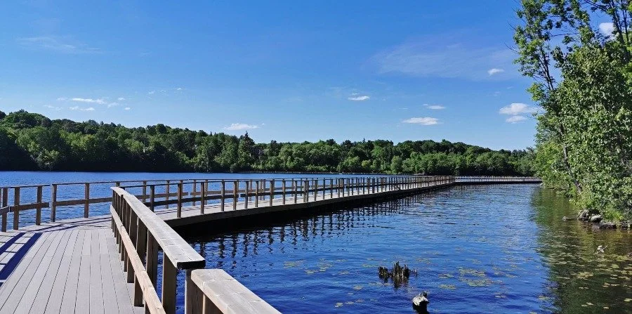 Wooden walkway over a calm river, surrounded by green trees on a sunny day with blue sky and scattered clouds.  The Riverbend Condos, Huntsville, Muskoka.