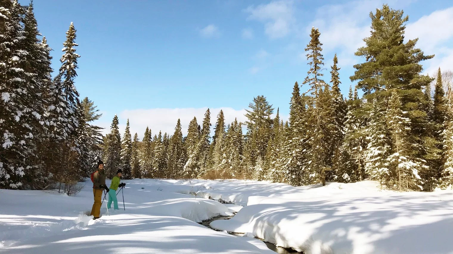 Two people snowshoeing in a snowy forest with tall pine trees and a partly cloudy sky.  The Riverbend Condos, Huntsville, Muskoka.