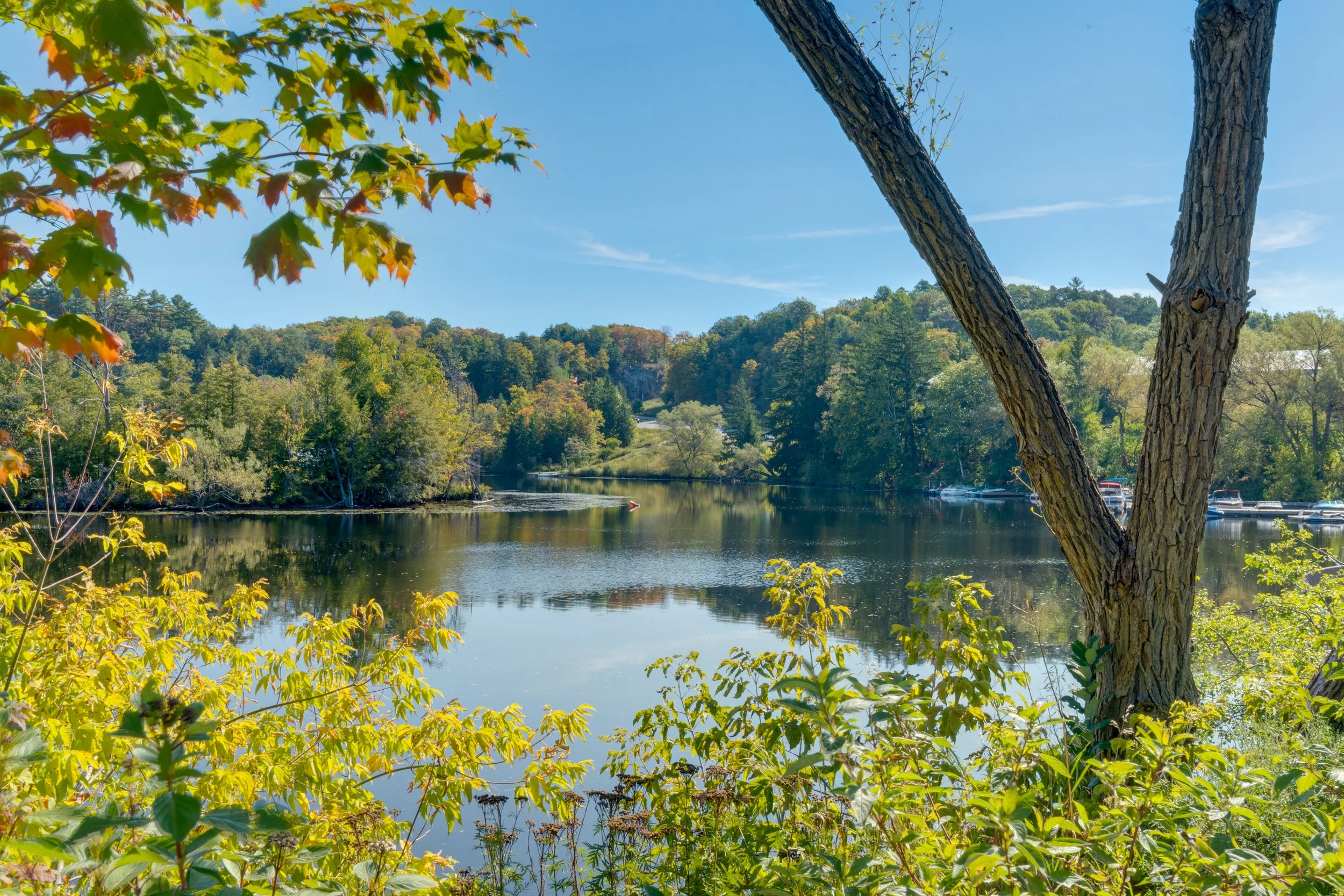 A peaceful river scene with trees in autumn colors reflecting on the water, with boats docked on the far side and lush green foliage in the foreground.