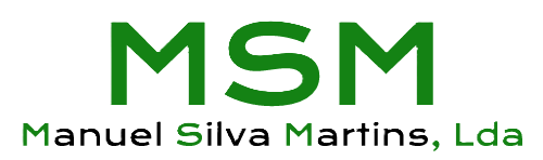 Manuel Silva Martins