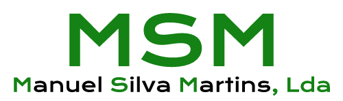 Manuel Silva Martins