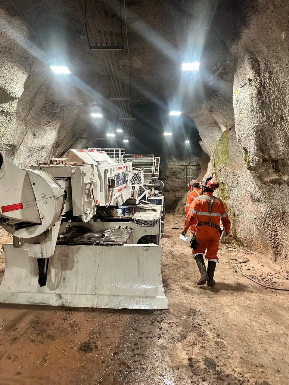 Servicios en campo y atención en sitio