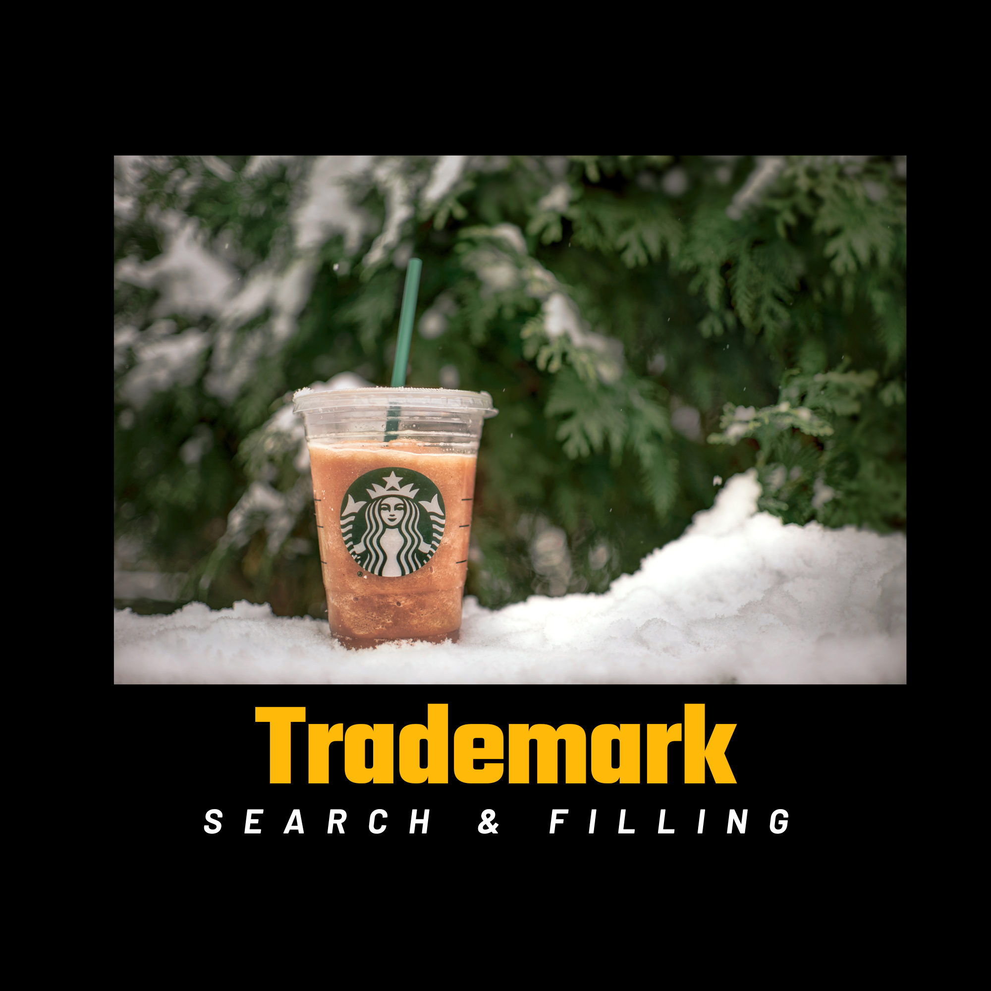 Trademark Search and Filing