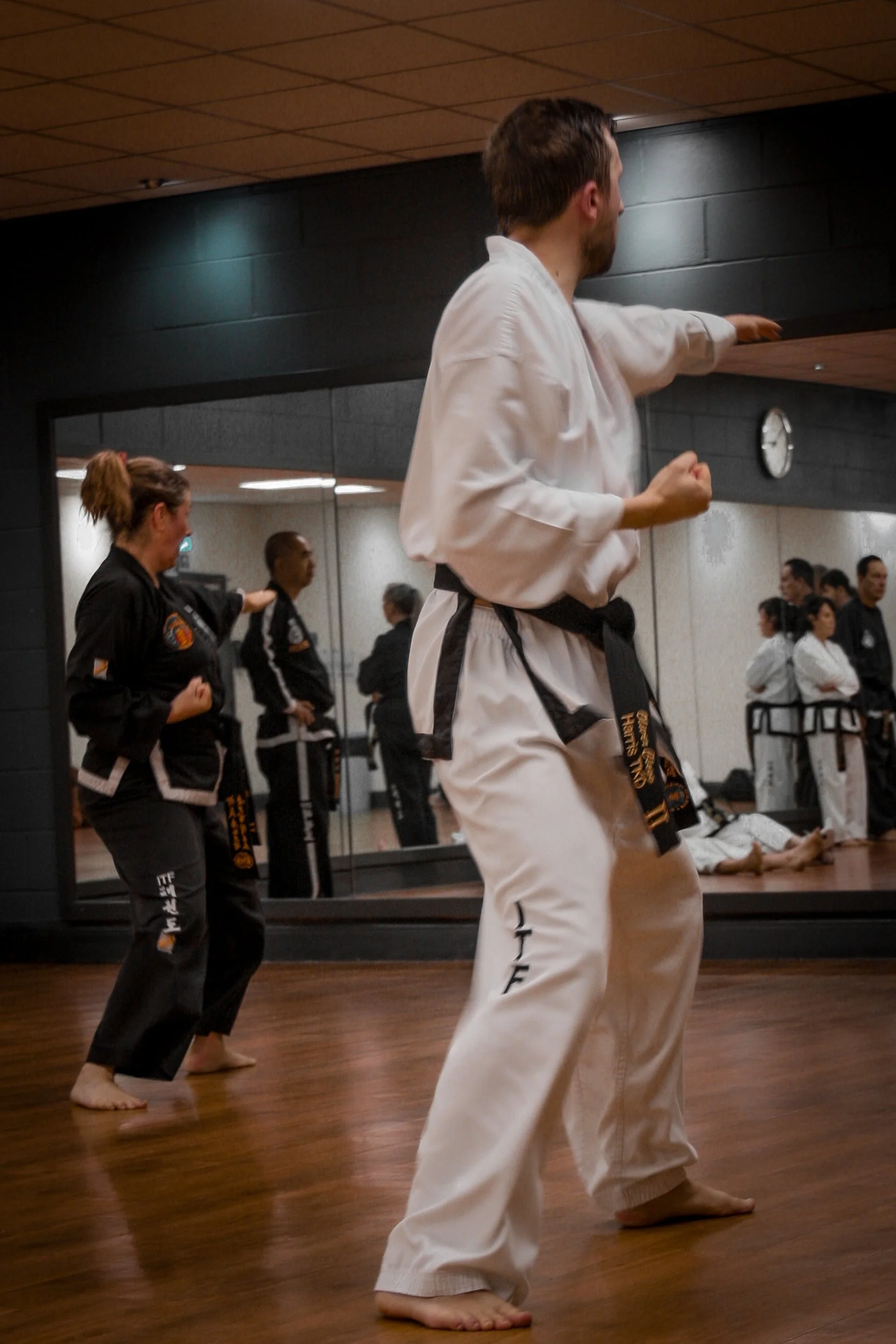 Black Belt SS-07.jpg