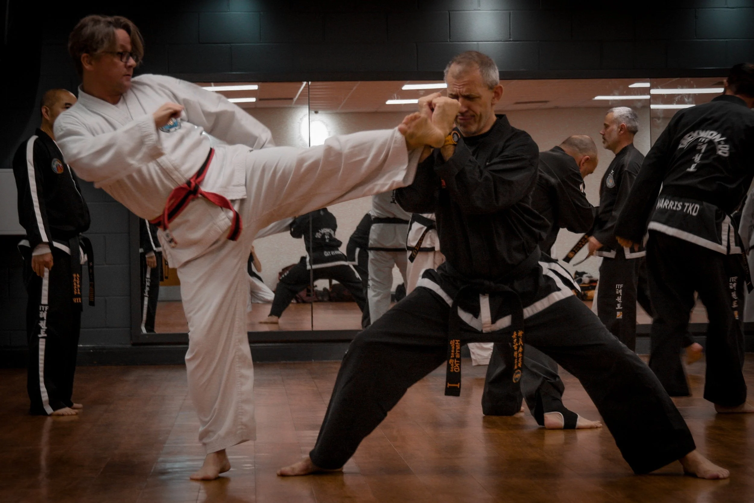 Black Belt SS-29.jpg