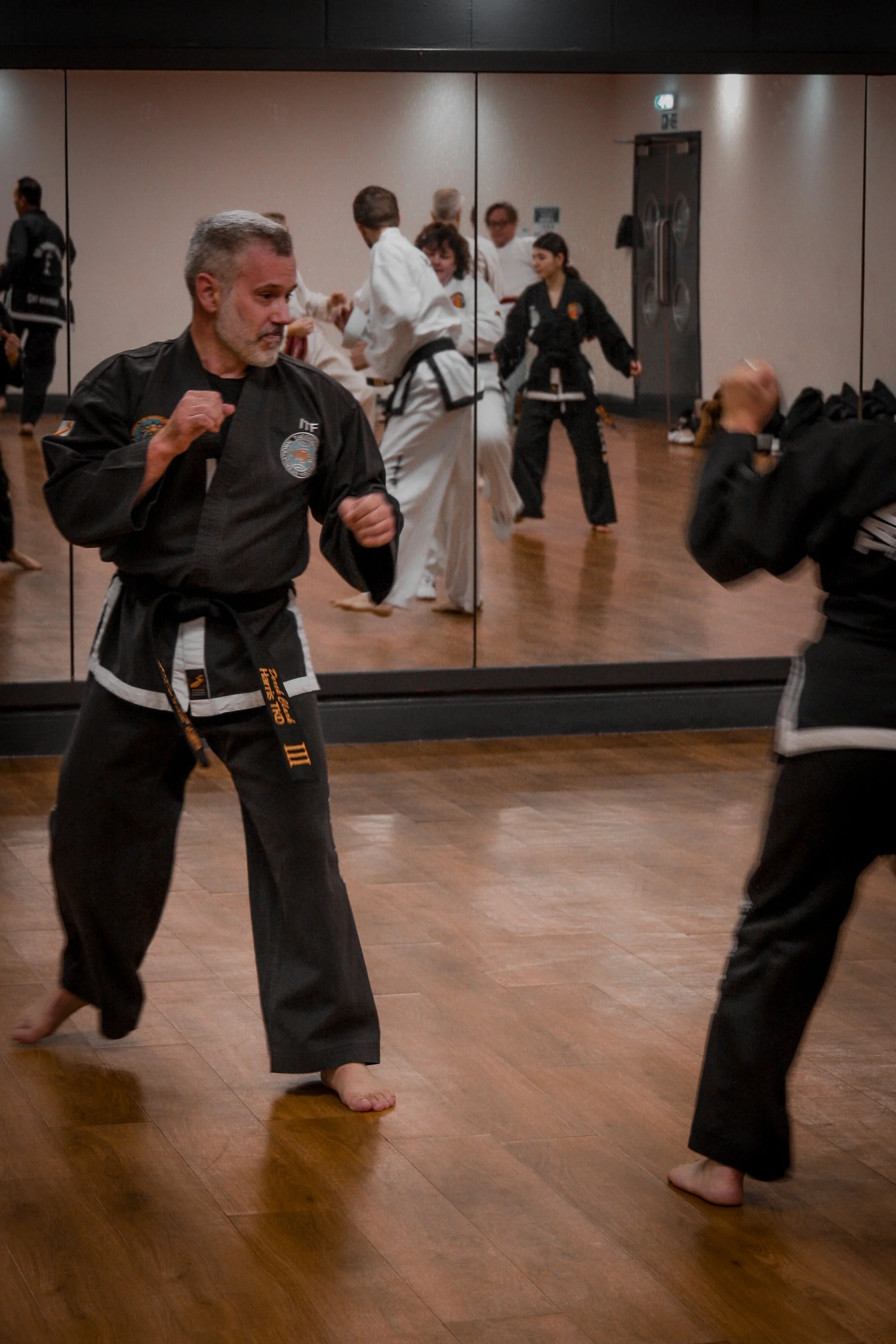 Black Belt SS-22.jpg