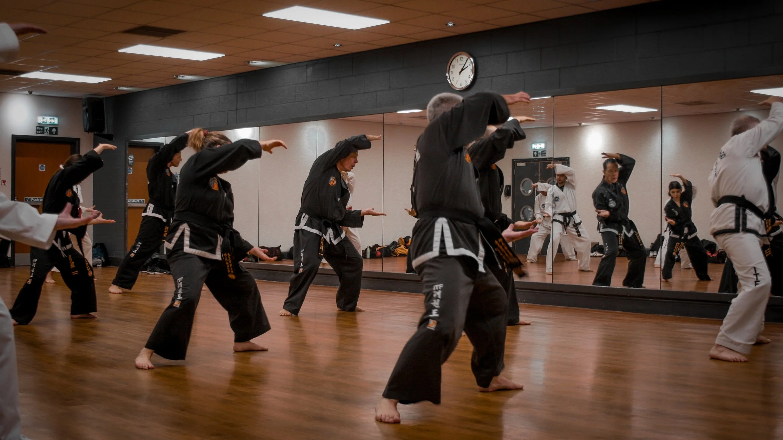 Black Belt SS-15.jpg