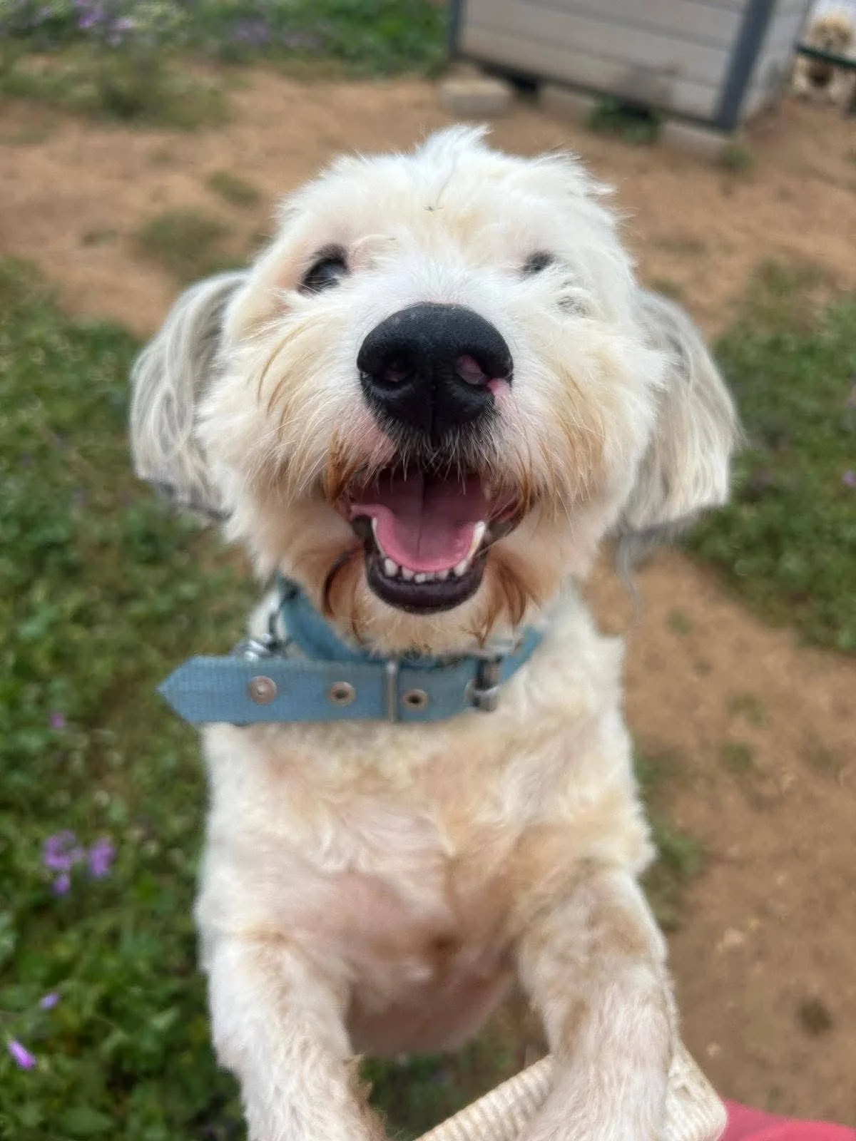 Charlie