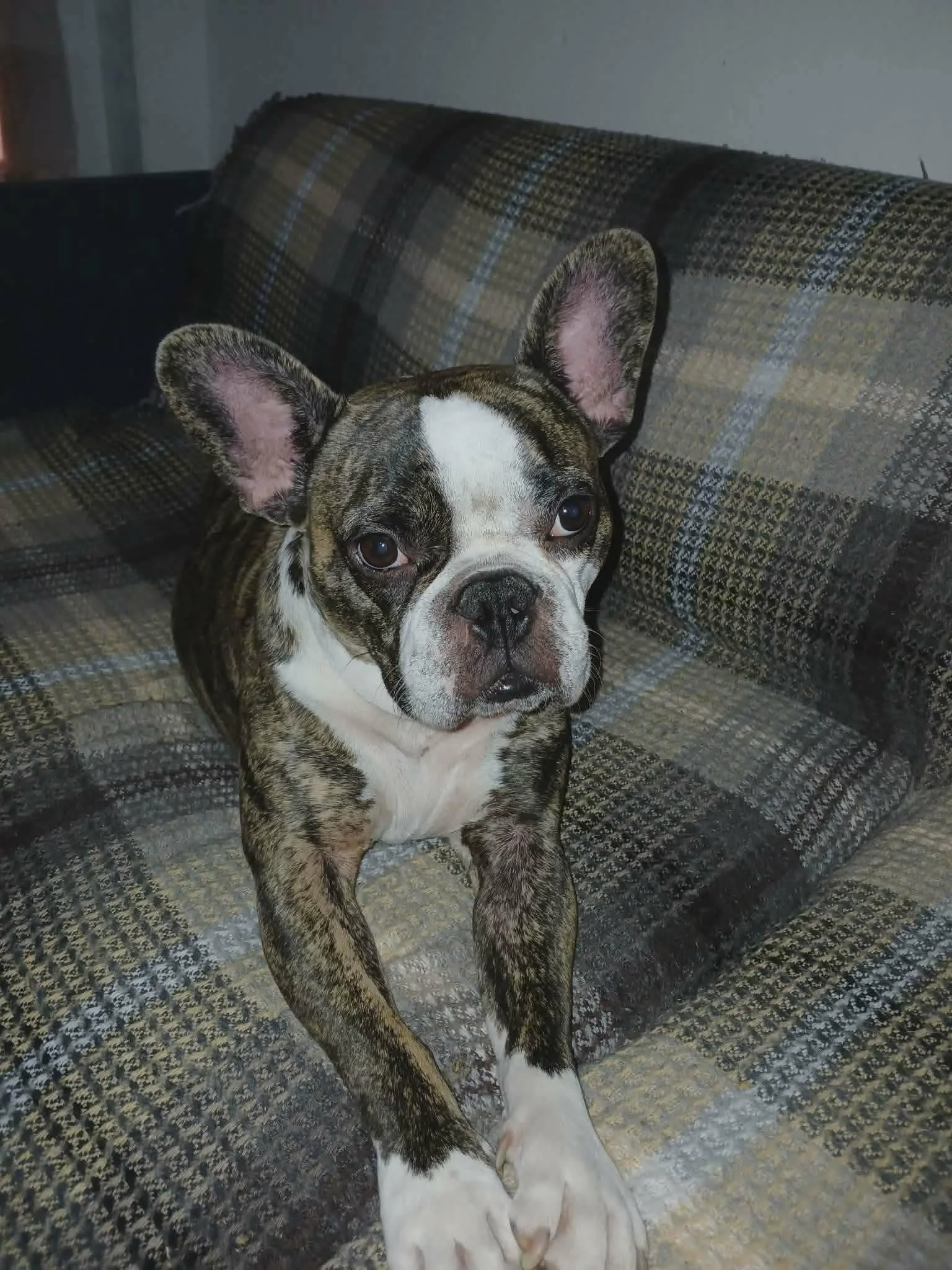 Ralph