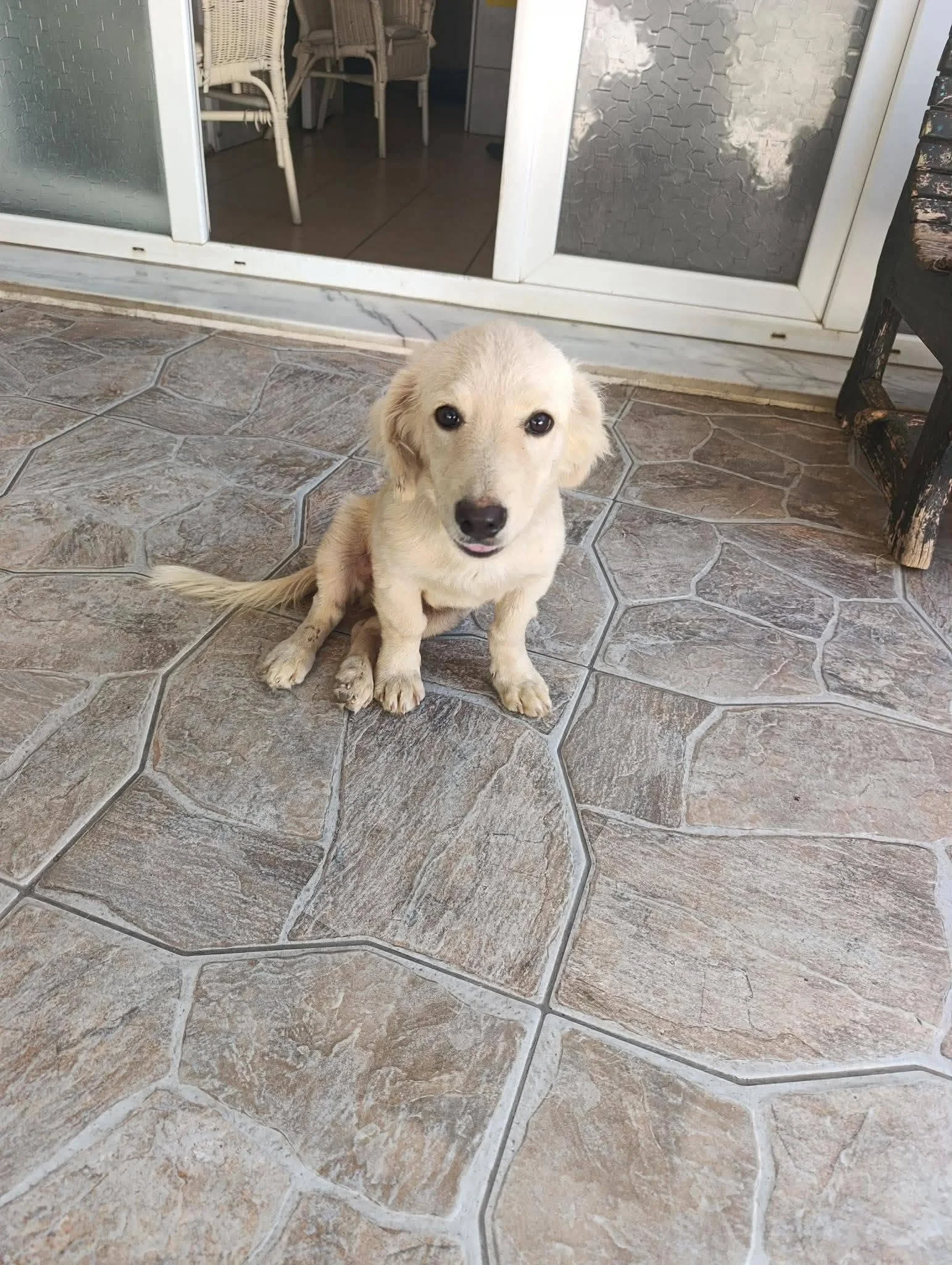 Carlo