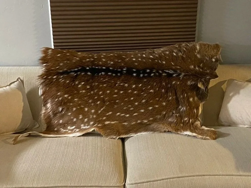 Professional Hide Tanning & Conditioning Service