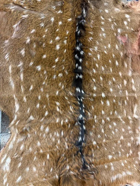 Professional Hide Tanning & Conditioning Service