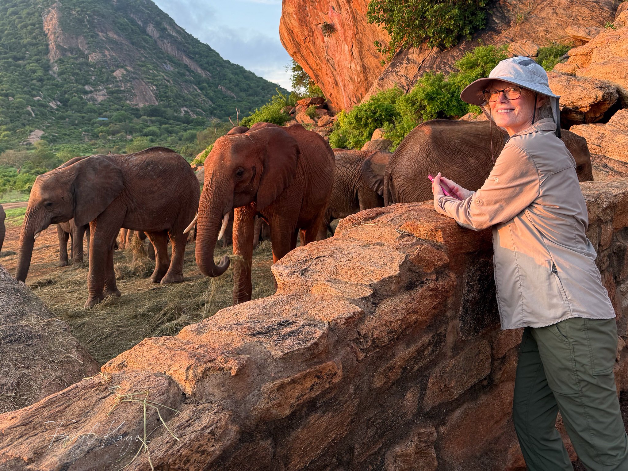 CONSERVATION & WILDLIFE SAFARIS