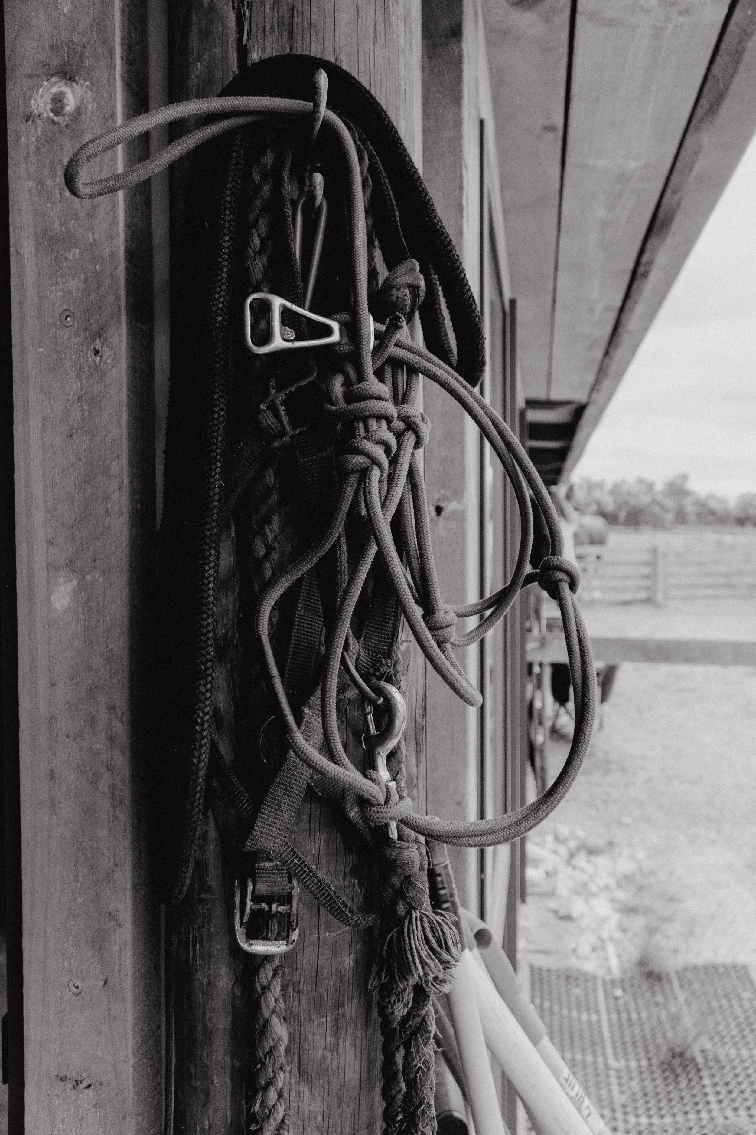 Climbing harness and ropes hanging on a wooden wall outside.