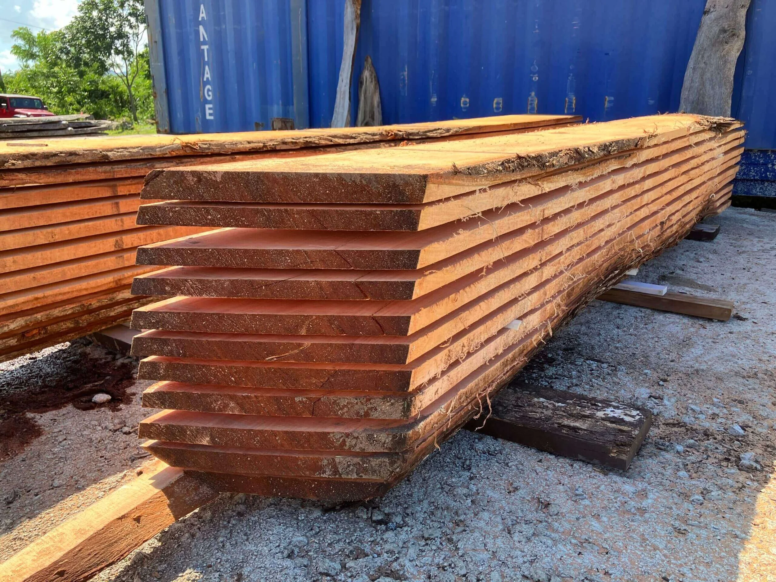 Puerto Rico Hardwoods 