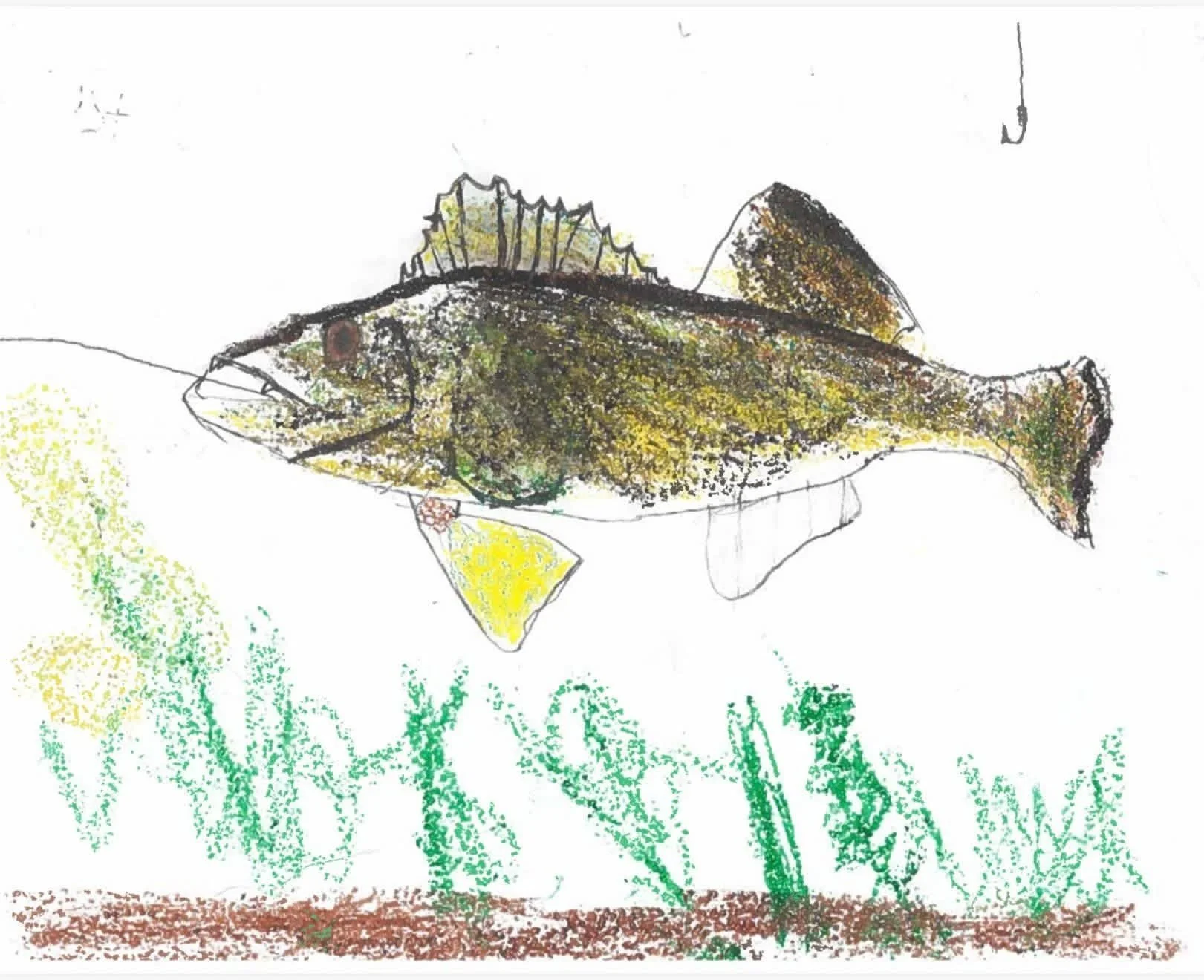 Colorful drawing of a fish swimming above green underwater plants.