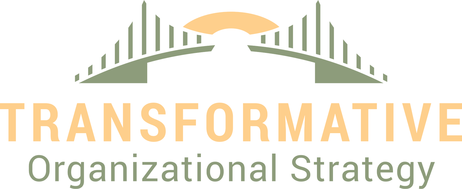 Transformative Organizational Strategy