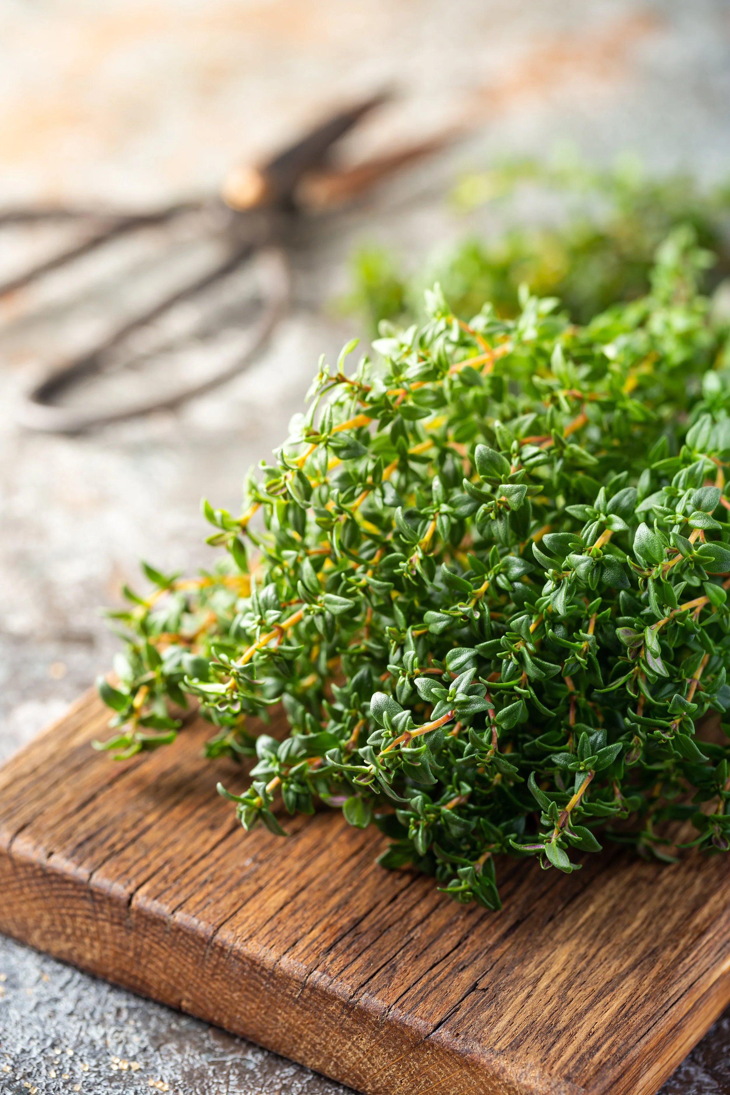 Fresh green sprigs of thyme resting on a rustic wooden cutting board with a pair of scissors blurred in the background.