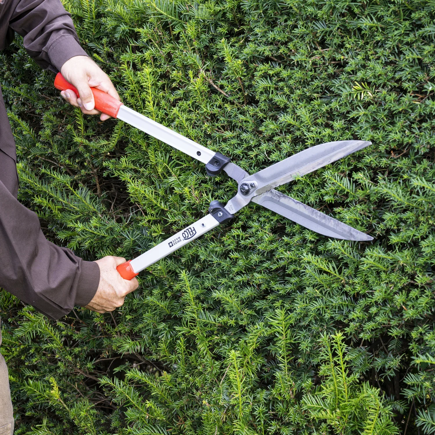 Garden Shears