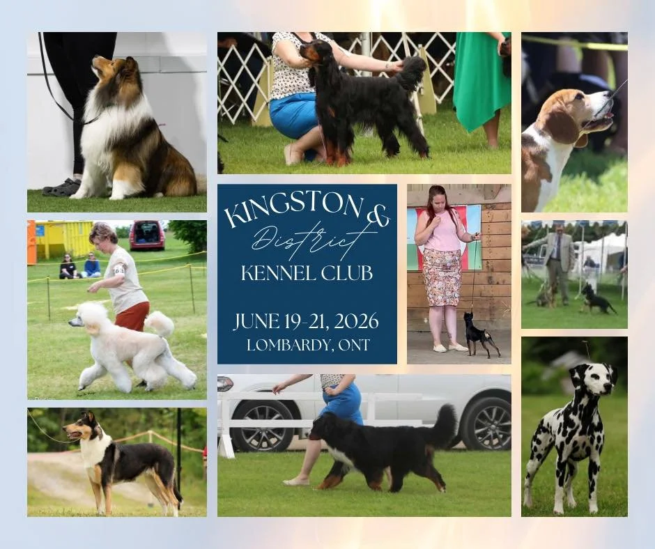 Kingston District Kennel Club