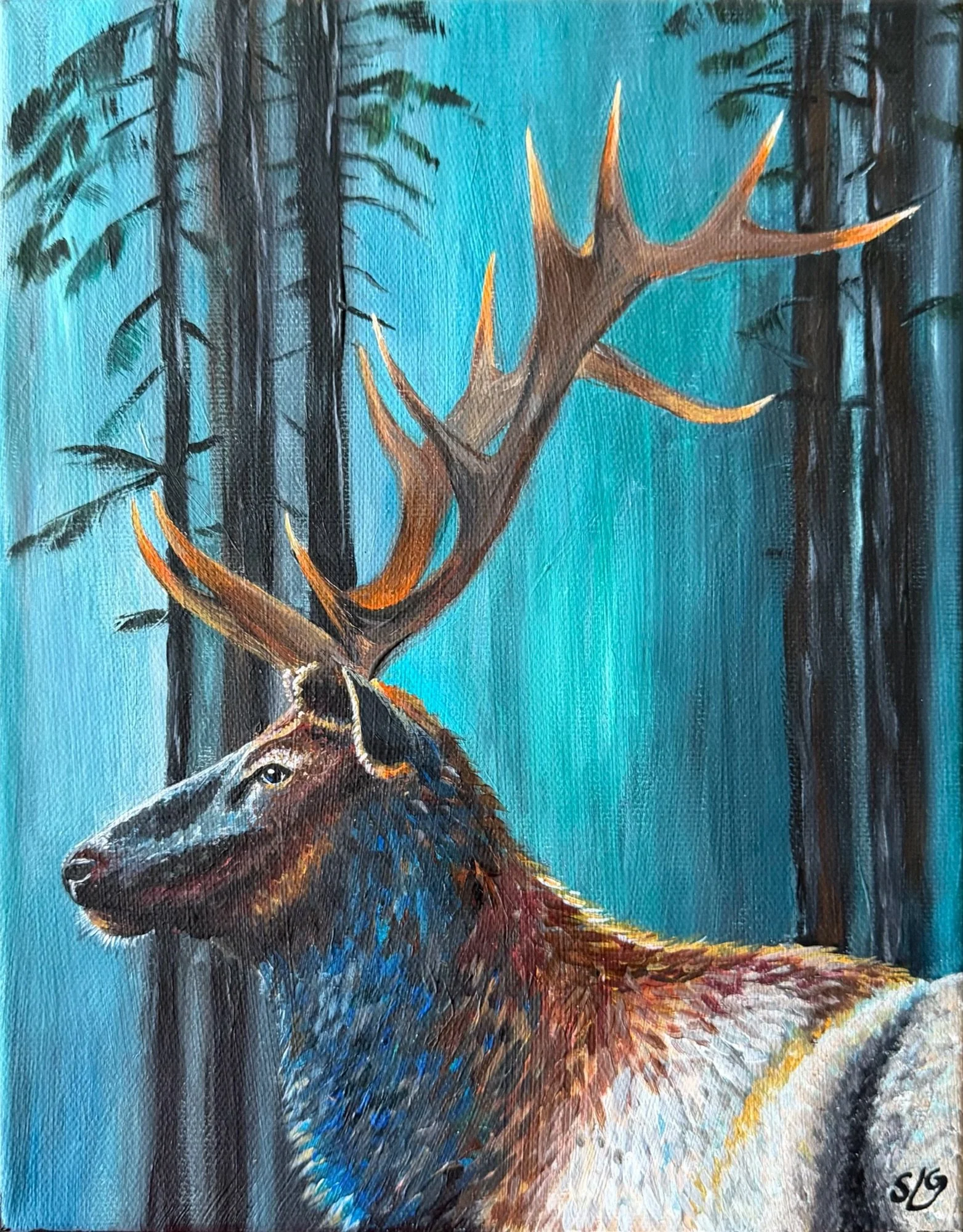 Duke of Devil Creek | Fine Art Print