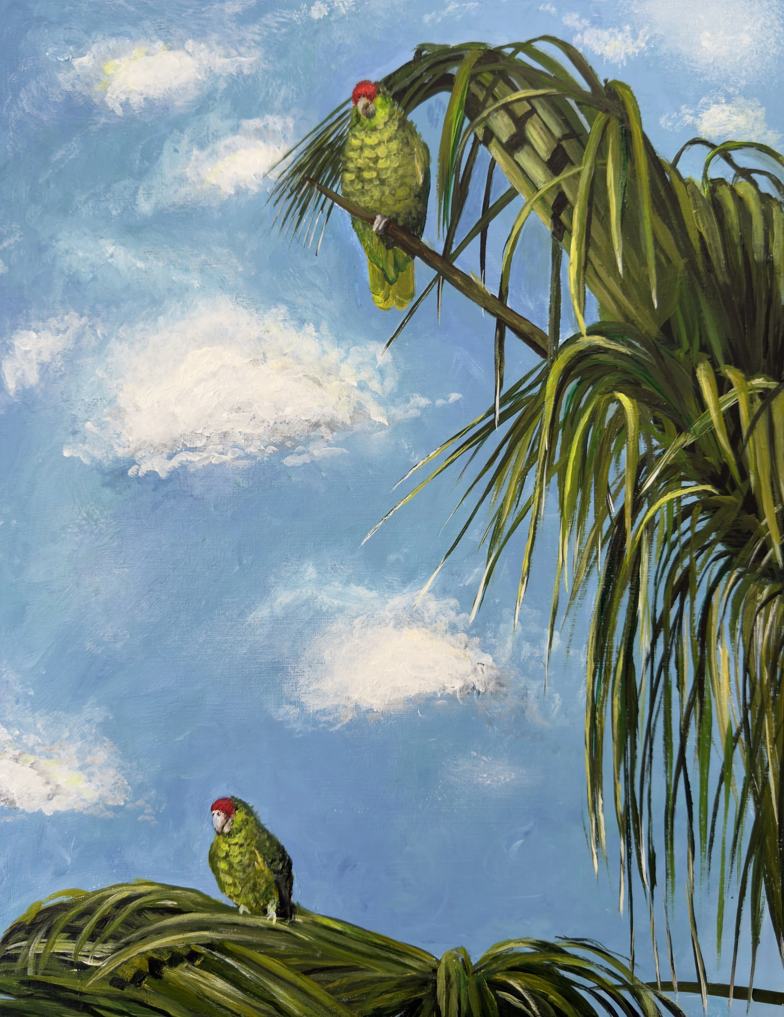 La Jolla | Fine Art Print