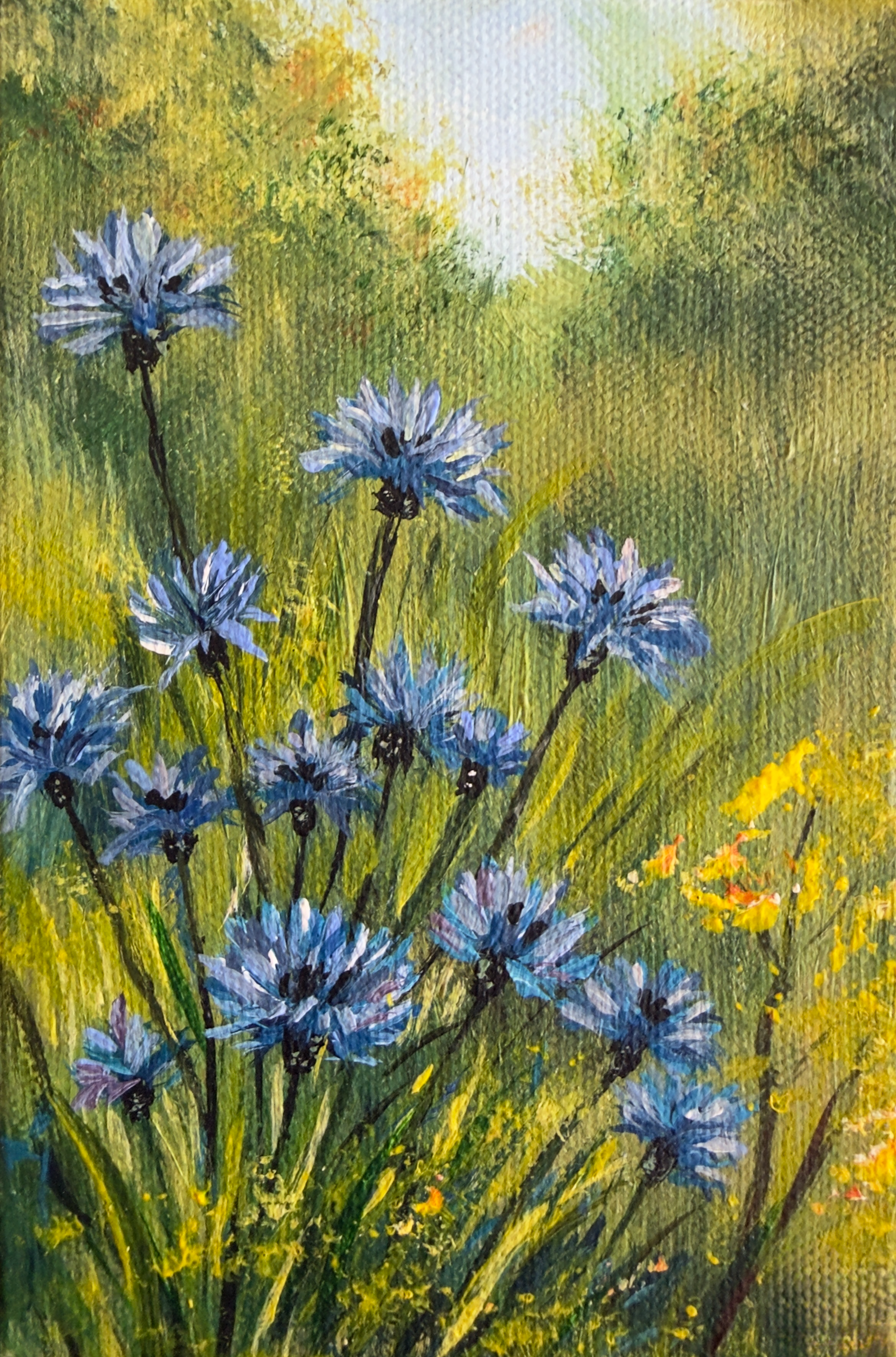 Indigo | Fine Art Print