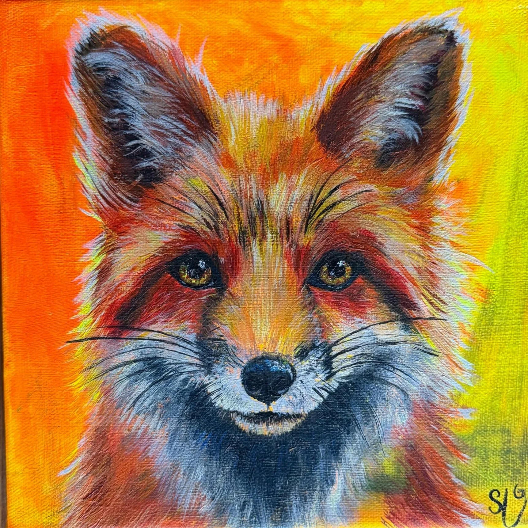 Felix at First Light | Fine Art Print