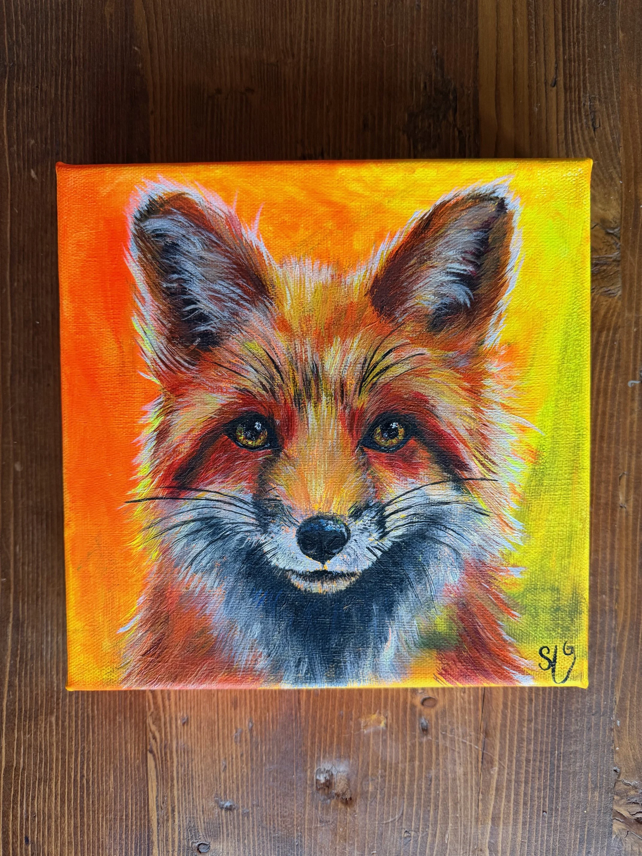 Felix at First Light