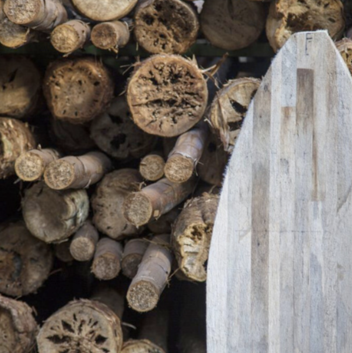 Stack of cut logs with various diameters, some showing the inner wood and grain, next to a weathered wooden surface.