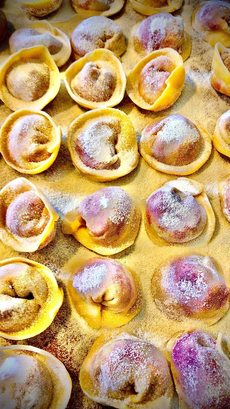 Freshly made tortellini pasta sprinkled with flour on a surface.