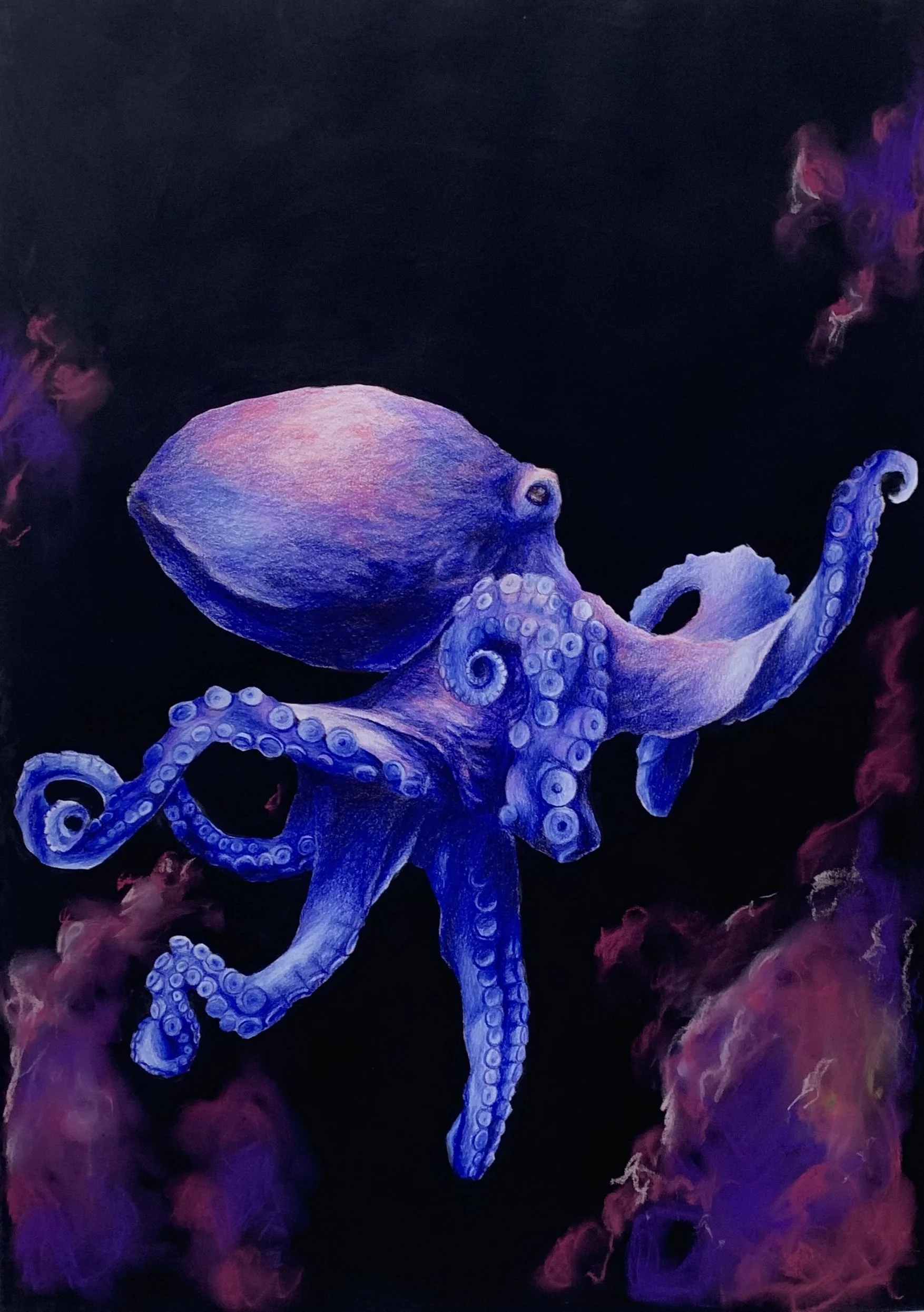 octopus #1.JPG
