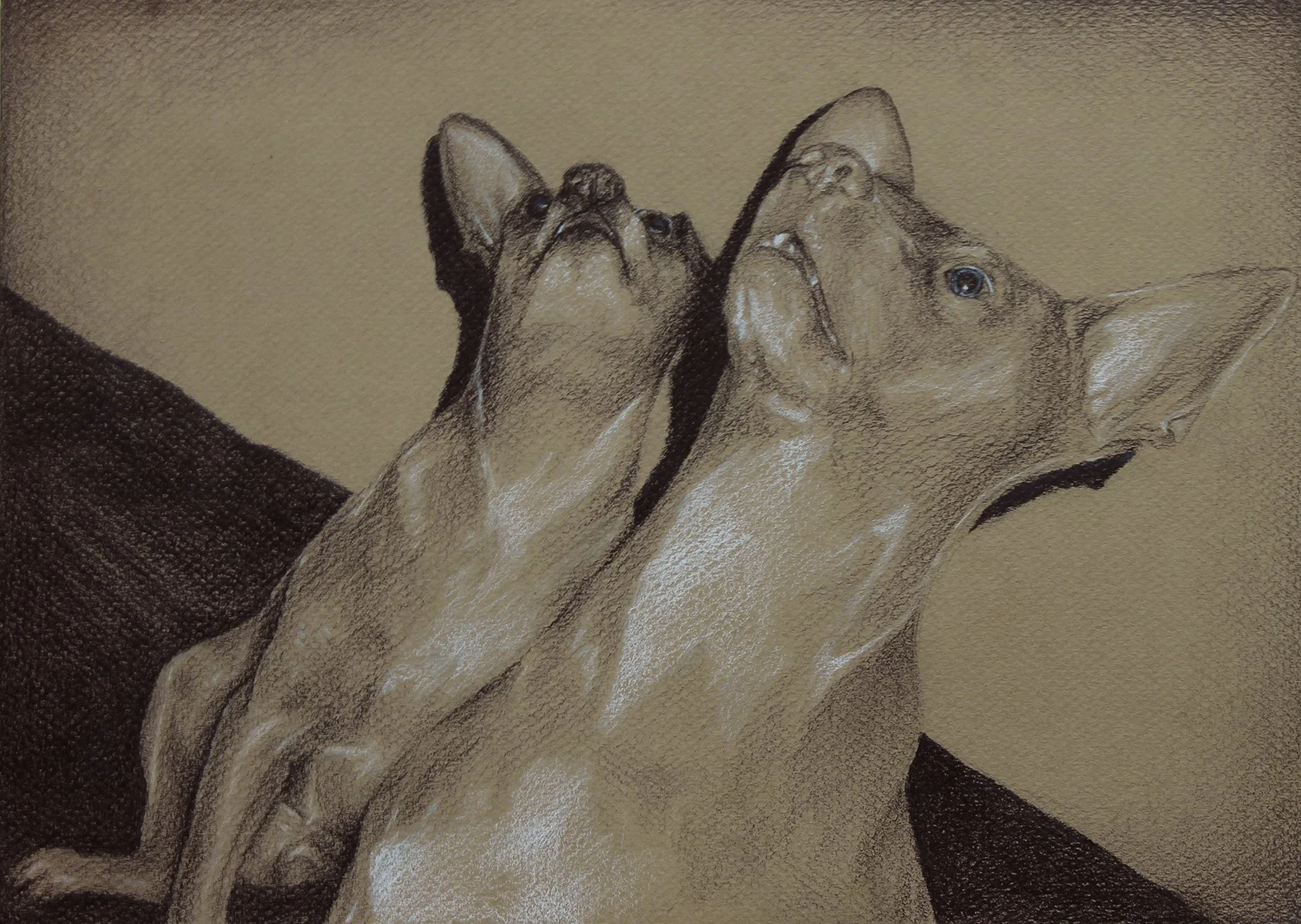 color pencil on paper