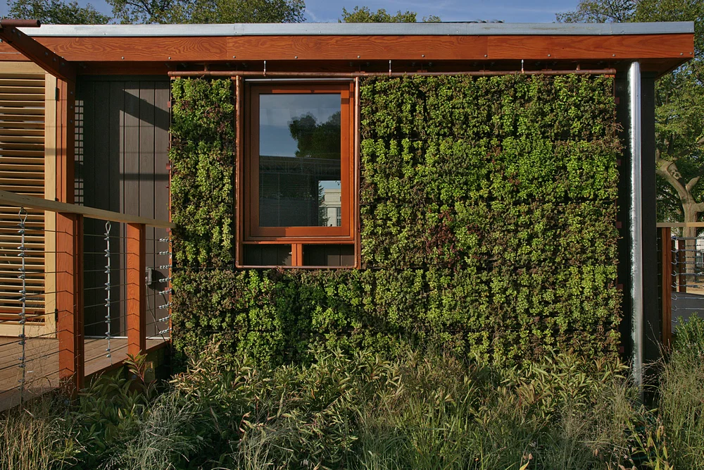 Photo Credit: Ken Wyner