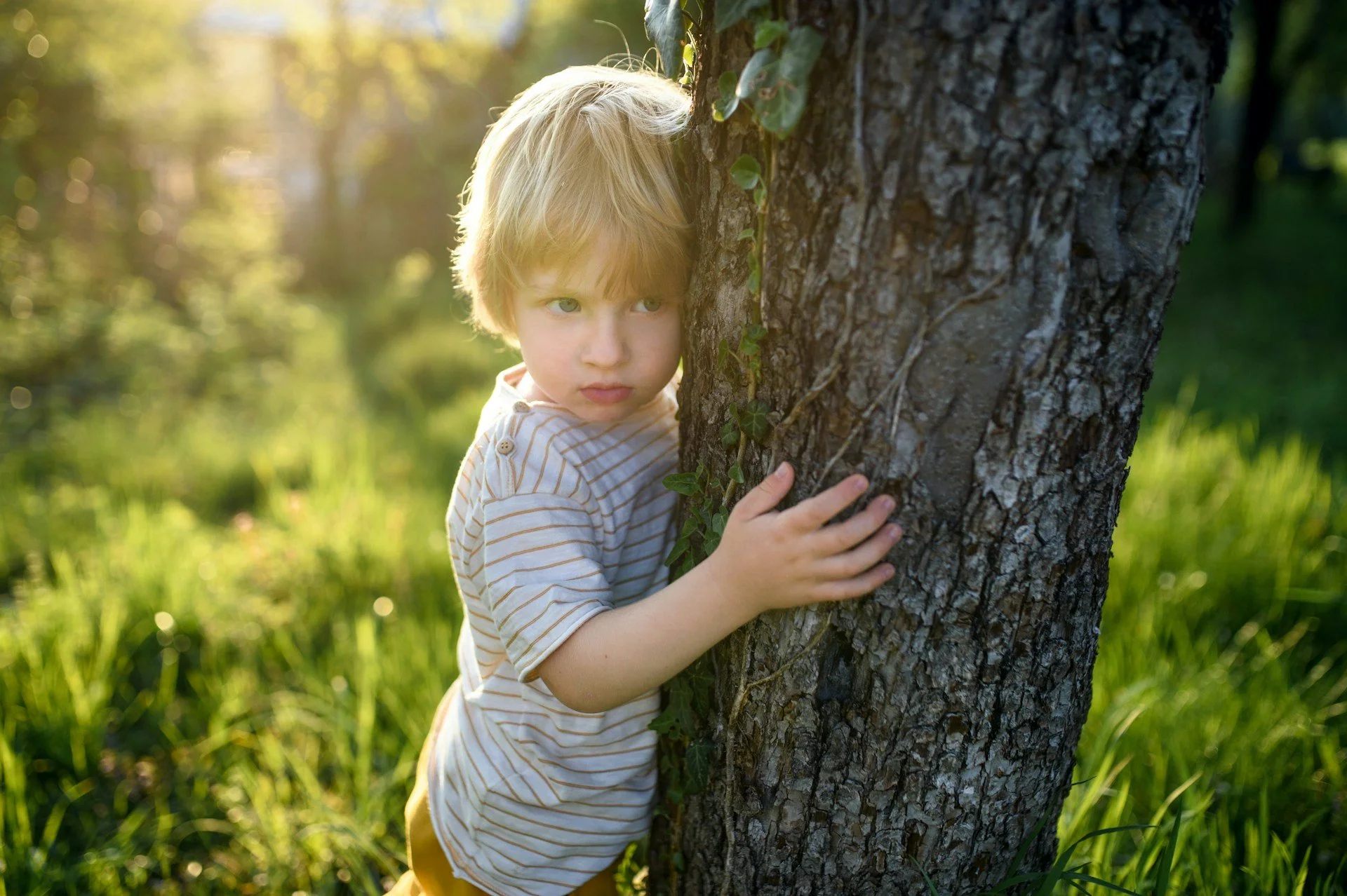 Een jongen met blond haar en een gestreept overhemd omhelst een boom in een zonnig bos, met groene gras en bomen op de achtergrond.