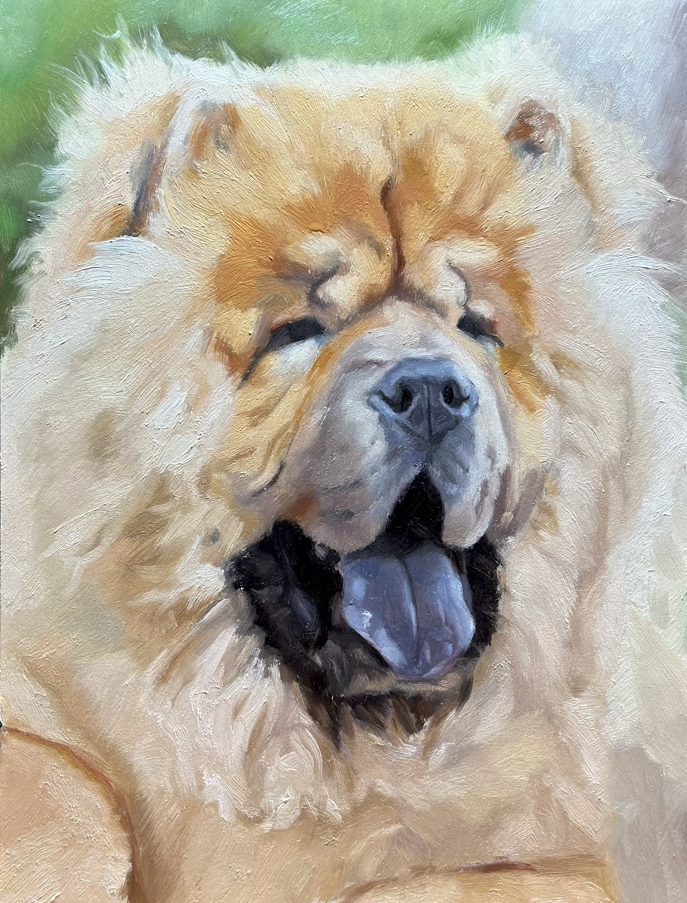 12. Chow Chow