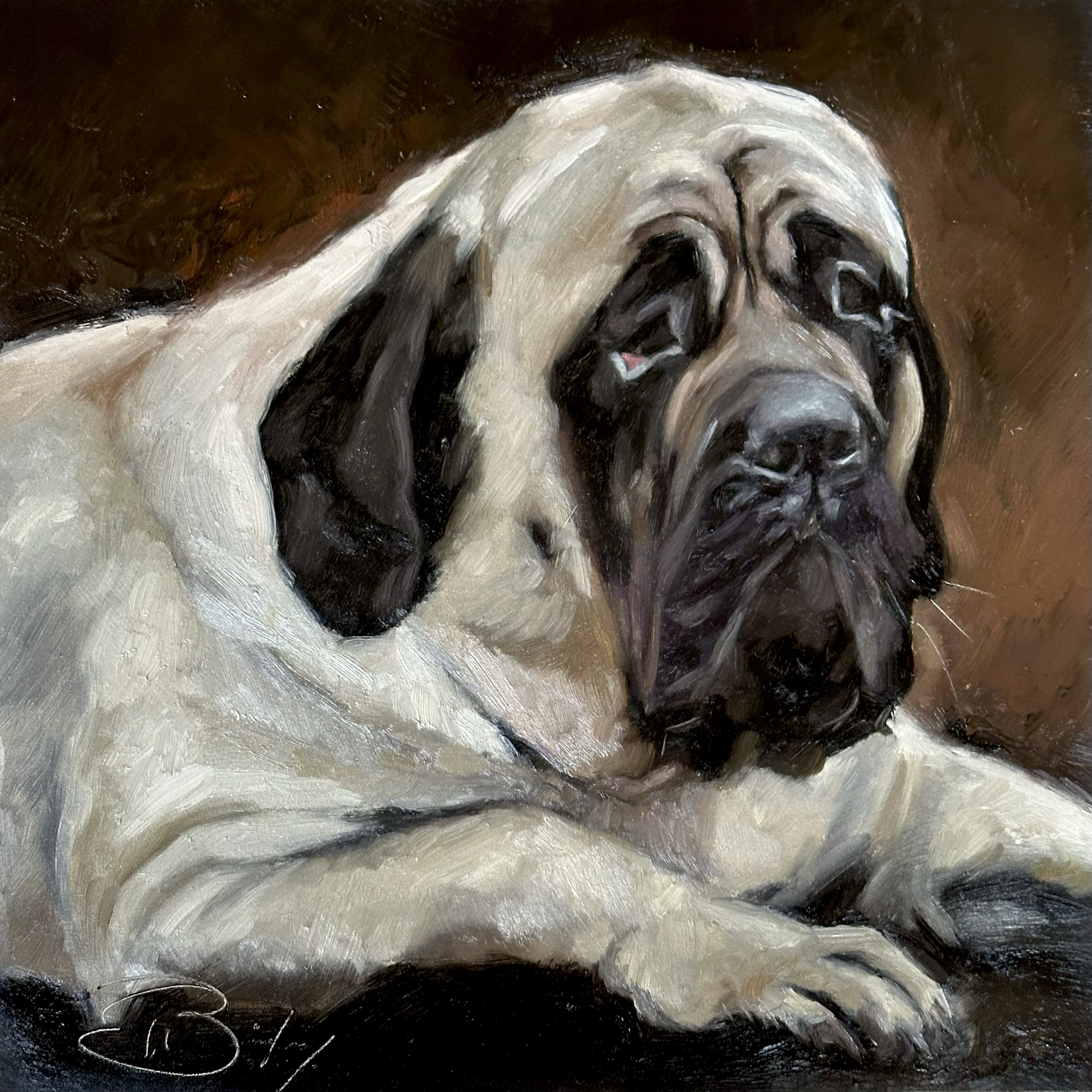 9. English Mastiff