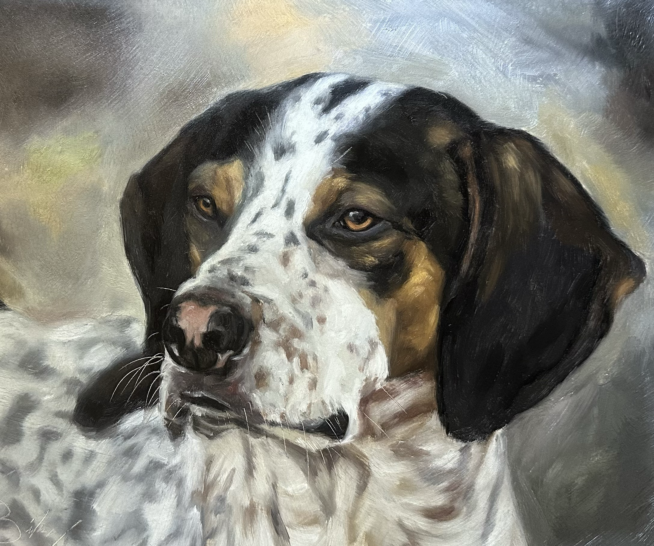 13. American English Coonhound