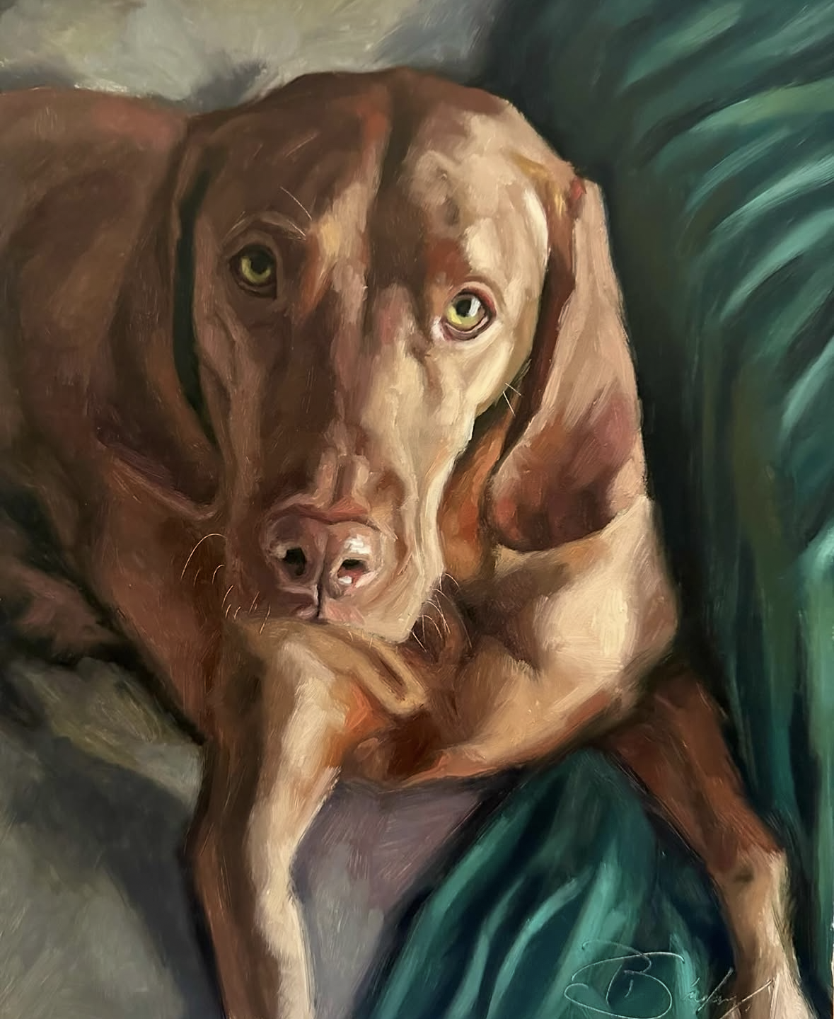 8. Vizsla