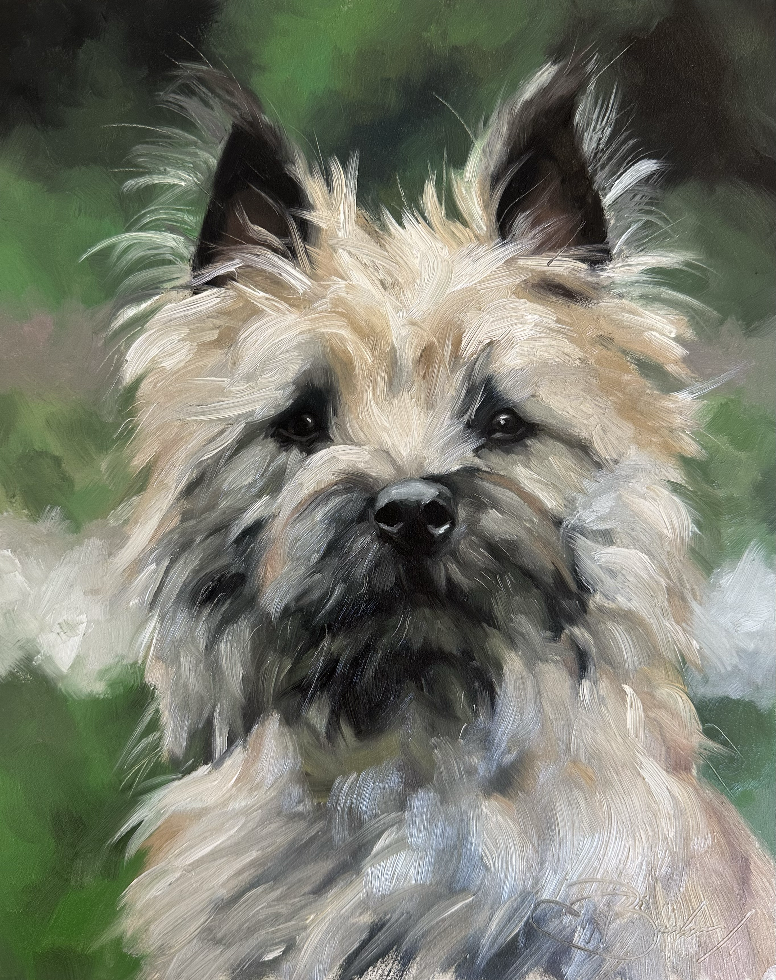 5. Cairn Terrier