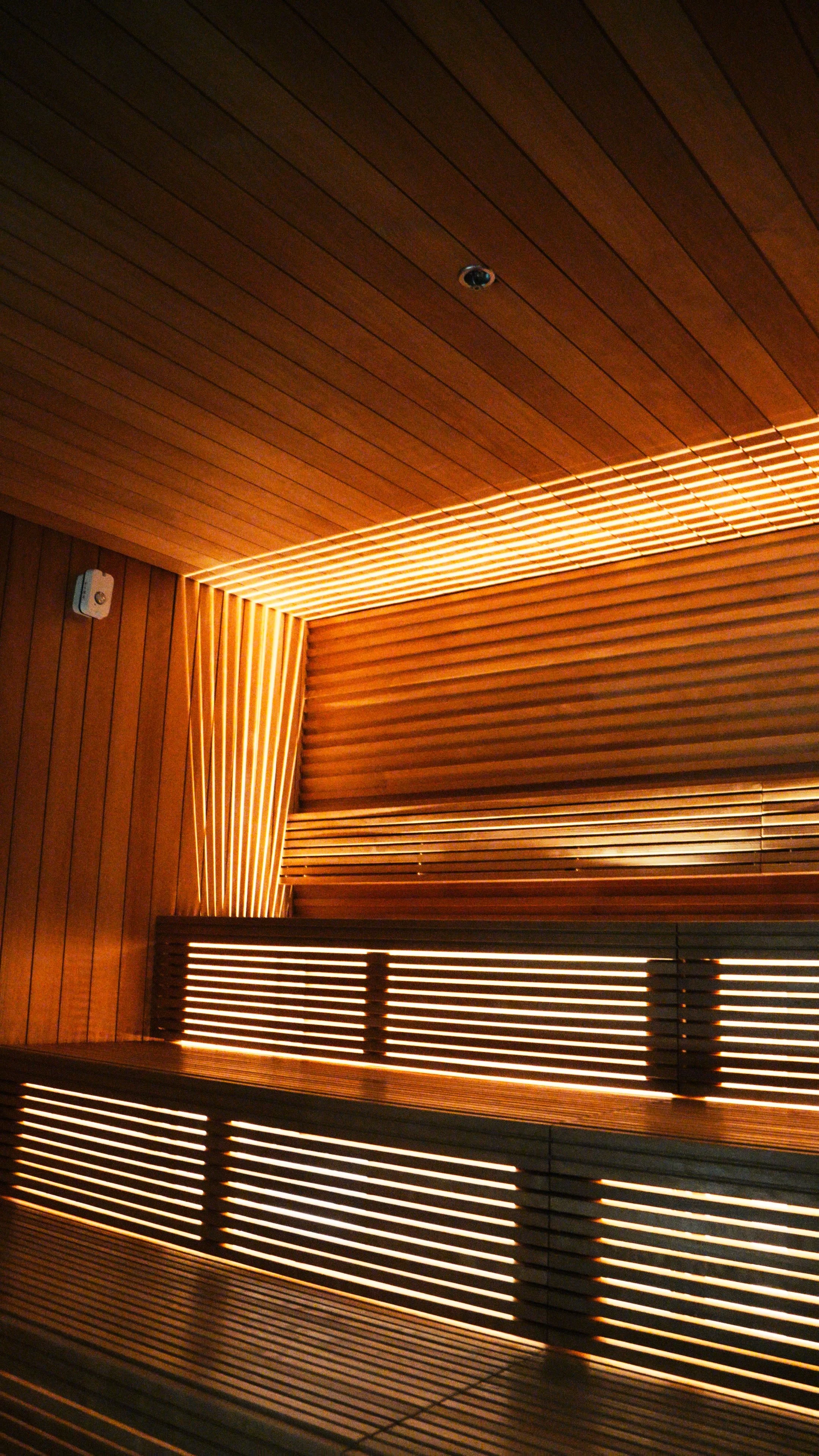 FRAME 05.jpg