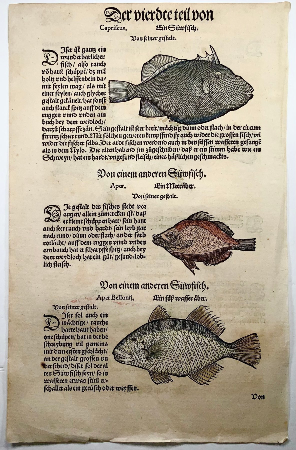 How to Start Collecting Antique Prints and Old Books