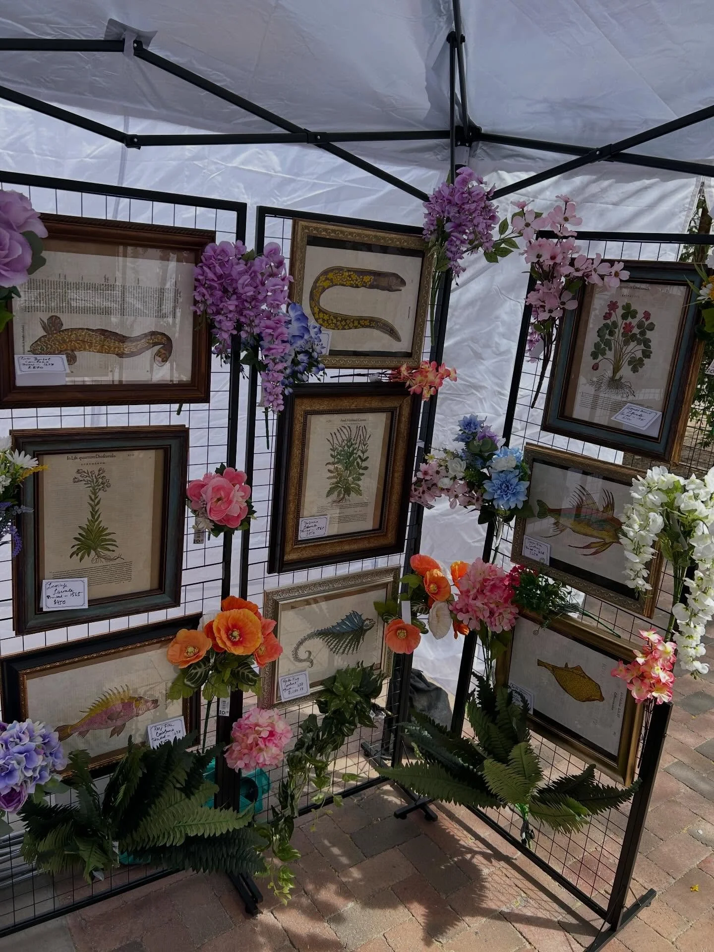 Catch us today at the Mercado !