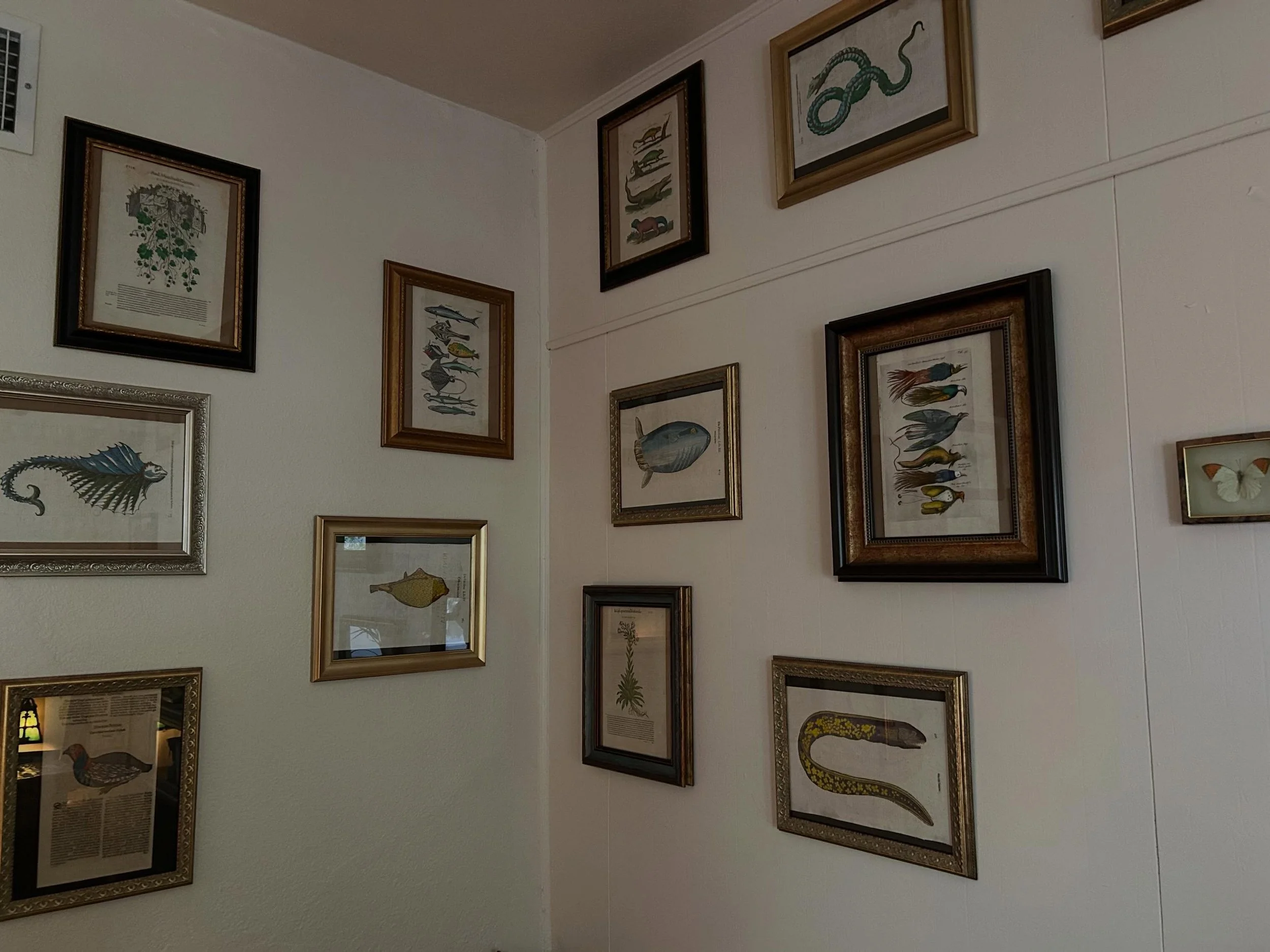 We framed and hung all of our prints so now all prices include the frame. Woohoo 🥳 check out our stock at bibliosonora.com. Imagine owning a part of history !