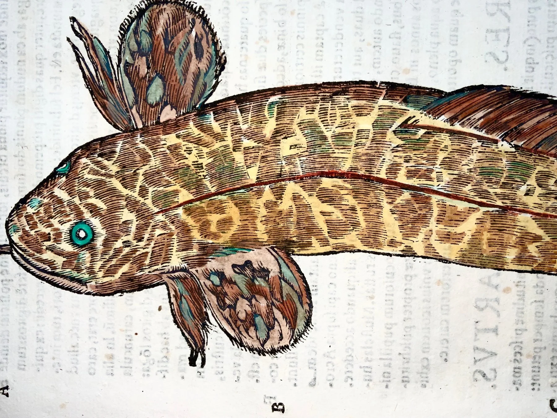 lamprey 2.jpg