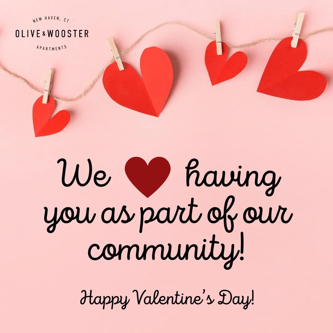 Roses are red, violets are blue, our residents are amazing, and that&rsquo;s 100% true! 🌹💙 We love you being part of our vibrant community. Happy Valentine's Day!

#OliveAndWooster #WoosterSquare #NewHavenLiving #LuxuryApartments #ApartmentLife #Lo